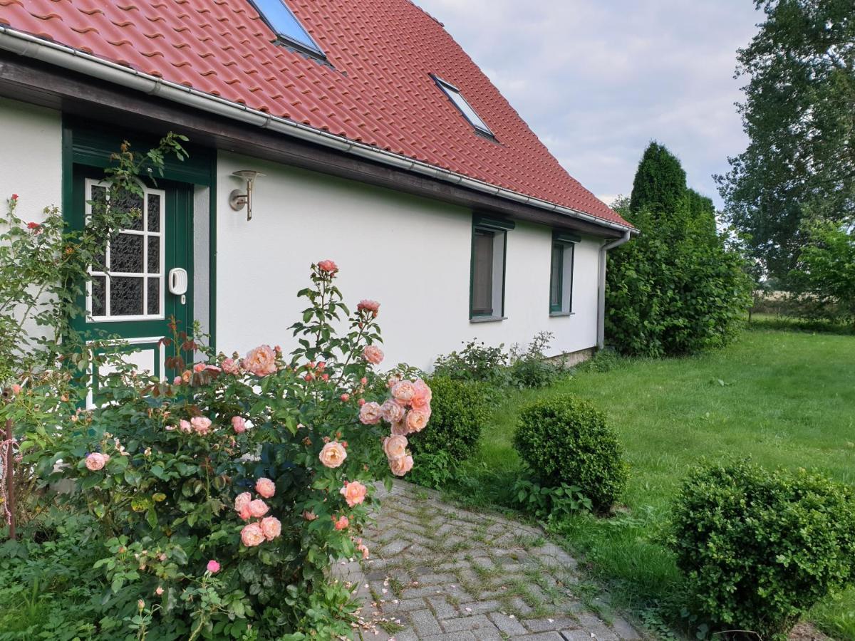 Oeko-Ferienhaus Rappin Eksteriør billede