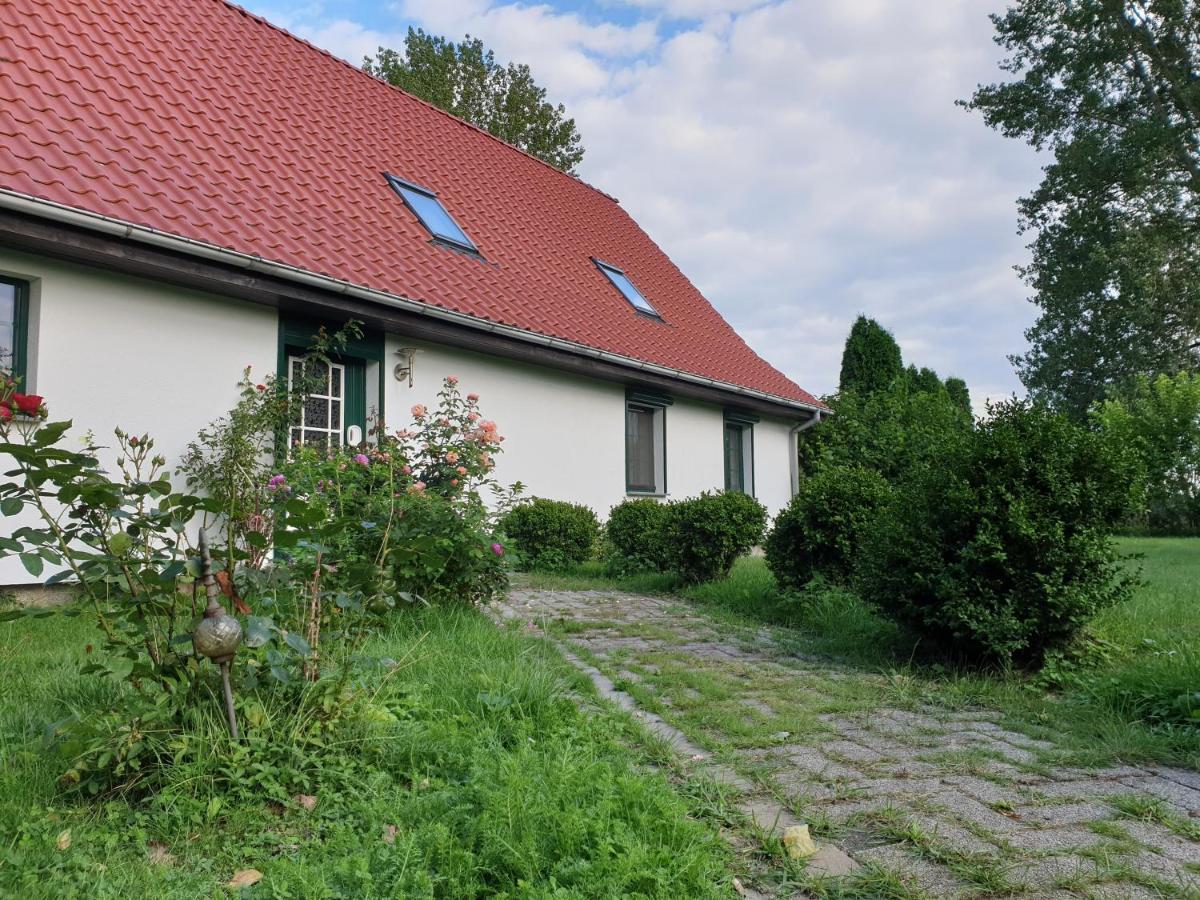 Oeko-Ferienhaus Rappin Eksteriør billede